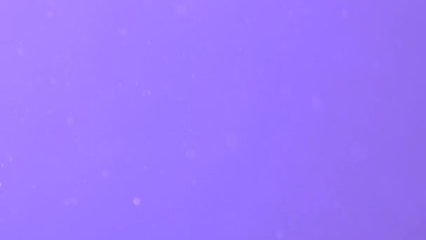 Poussière flottant dans l'air sur un fond violet. Air pollué. Véritable poussière volant au hasard. — Video