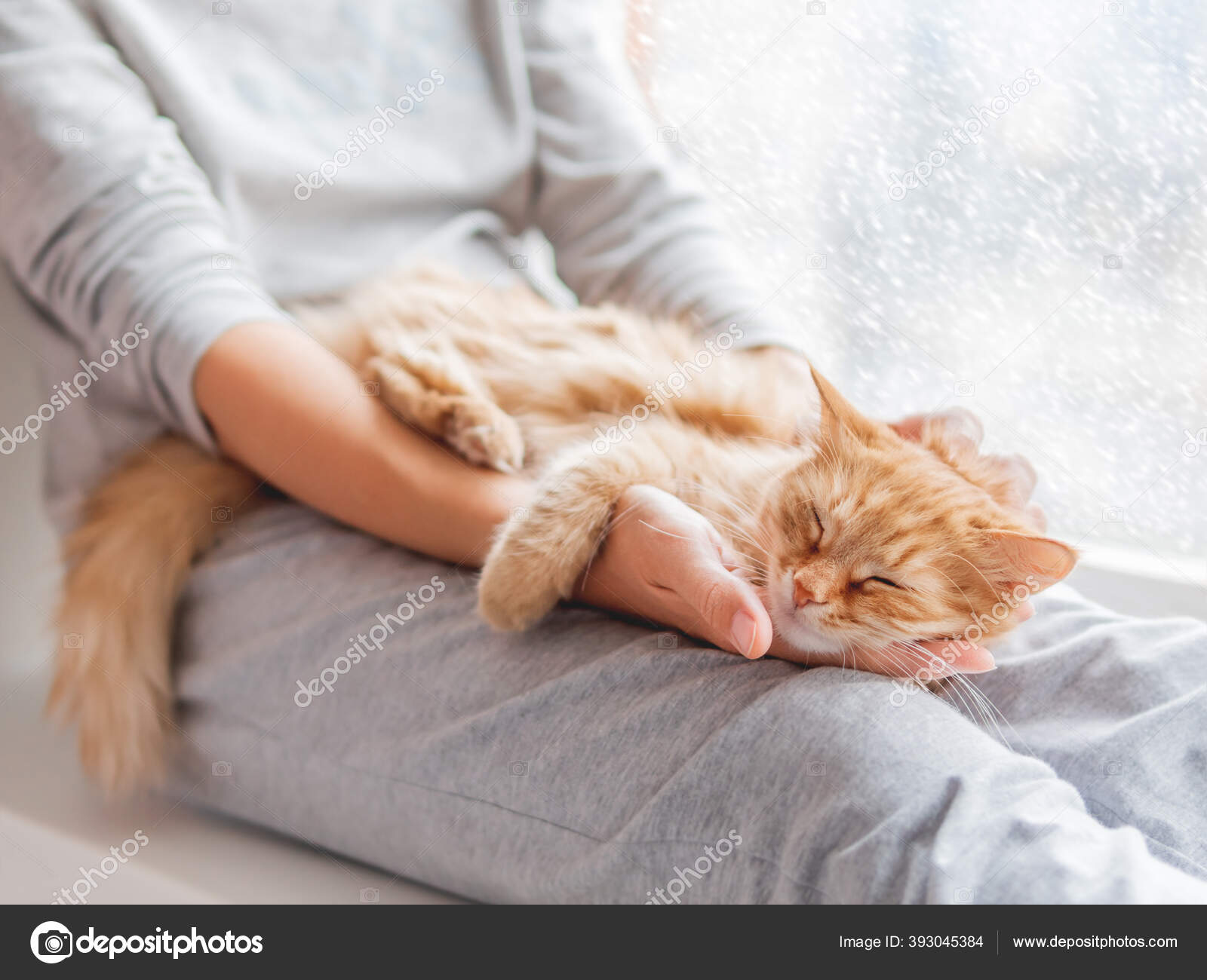 可爱的生姜猫躺在女人的膝上穿着灰色睡衣的女人抚摸着毛茸茸的宠物外面下着雪舒适的早晨呆在家里 图库照片 C Aksenovko