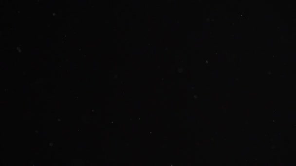 Poussière flottant dans l'air sur un fond sombre. Air pollué. — Video