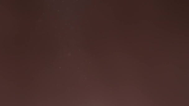 Poussière flottant dans l'air sur un fond brun. Air pollué. Véritable poussière volant au hasard.