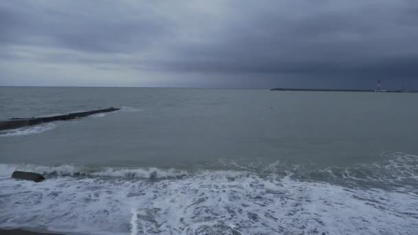 Les mouettes et les cormorans sont assis sur le brise-lames. Phare sur fond de ciel orageux. Port de Sotchi, Russie. — Video