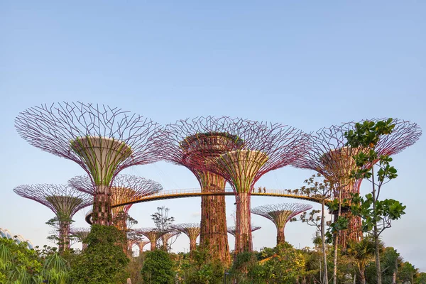 シンガポール シンガポール 2013年1月17日 観葉植物と葉植物の形をした装飾的な塔 植物と異なる花壇 マリーナ サンズ近くのベイ ガーデンズのスーパーツリー グローブ — ストック写真