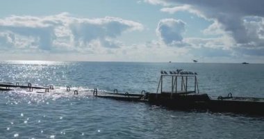 Martılar paslı korkuluklarda otururlar. Gün ışığında sakin deniz sörfü, Sochi, Rusya.