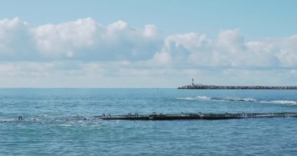 La mouette est assise sur un rocher. Phare dans le port de Sotchi, Russie. Silhouettes de mouettes sur des rochers et surf de mer tranquille. — Video