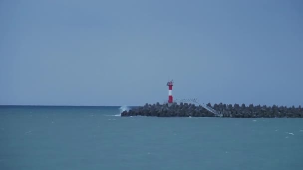 Gaivotas e corvos-marinhos sentam-se no quebra-mar. Farol no fundo do céu tempestuoso. Porto de Sochi, Rússia . — Vídeo de Stock