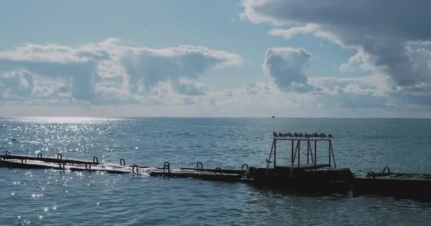 Les mouettes sont assises sur des balustrades rouillées. Surf de mer tranquille à la lumière du jour, Sotchi, Russie. — Video