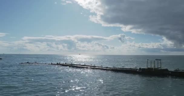 Las gaviotas se sientan sobre barandillas oxidadas. Surf de mar tranquilo a la luz del día, Sochi, Rusia . — Vídeos de Stock