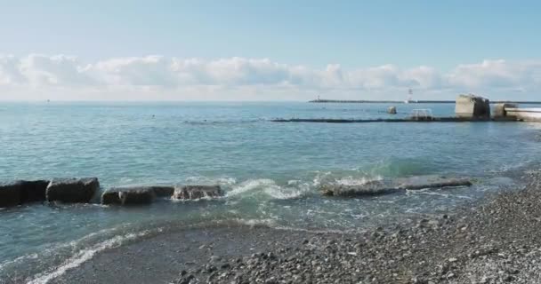 La gaviota se sienta en la roca. Faro en el puerto de Sochi, Rusia. Siluetas de gaviotas sobre rocas y tranquilas olas marinas . — Vídeos de Stock