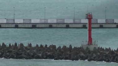 SOCHI, Rusya - Şubat 05, 2020. Martılar ve karabataklar dalgakıranların üzerinde otururlar. Bulutlu arka planda deniz feneri. Soçi Limanı, Rusya.