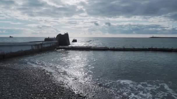 Las gaviotas se sientan sobre rocas y barandillas oxidadas. Surf de mar tranquilo a la luz del día, Sochi, Rusia. — Vídeos de Stock