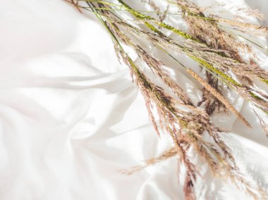 Kurumuş ot. Sabit yaşam konsepti yatıyordu. Buruşuk beyaz kumaş üzerinde dekoratif sonbahar bitkileri. Fotokopi alanı olan rahat bir ev arka planı. El yapımı doğal dekorasyon. Güneş ışığı ve gölge.