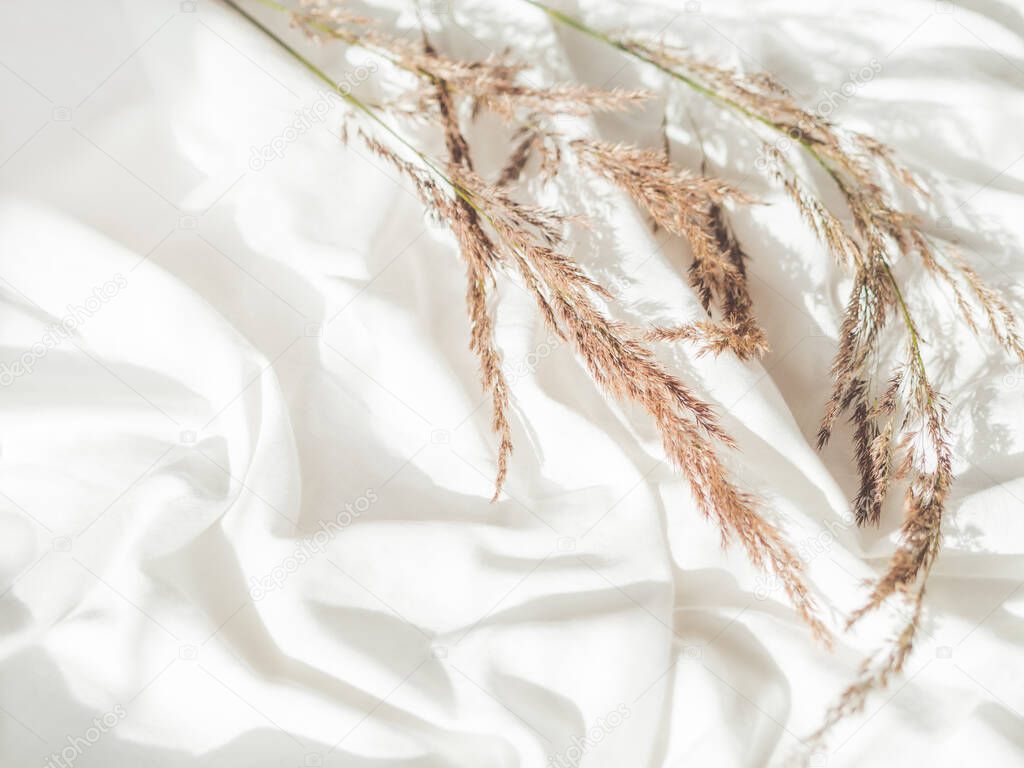 Dried grass. Flat lay still life concept. Decorative autumn plants on crumpled white fabric. Cozy home background with copy space. Handmade natural decorations. Sunlight and shadow.