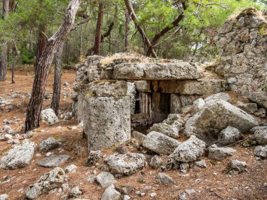 Antik Lycia kıyısındaki Phaselis kalıntıları, Yunan ve Roma şehri. Antalya 'nın Kemer ilçesinde mimari dönüm noktası.