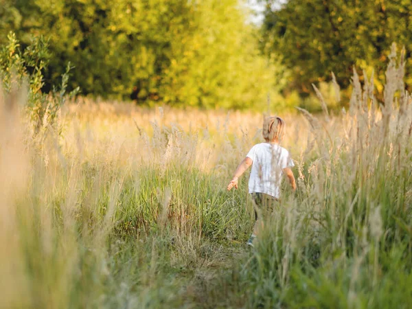 Sahada oynayan şirin bir çocuk. Bebek için açık hava eğlence etkinliği. Sonbahar sezonu. Turuncu gün batımı ışığı.