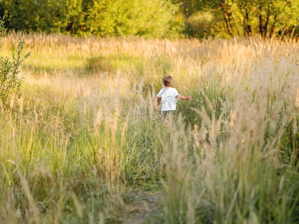 Sahada oynayan şirin bir çocuk. Bebek için açık hava eğlence etkinliği. Sonbahar sezonu. Turuncu gün batımı ışığı.