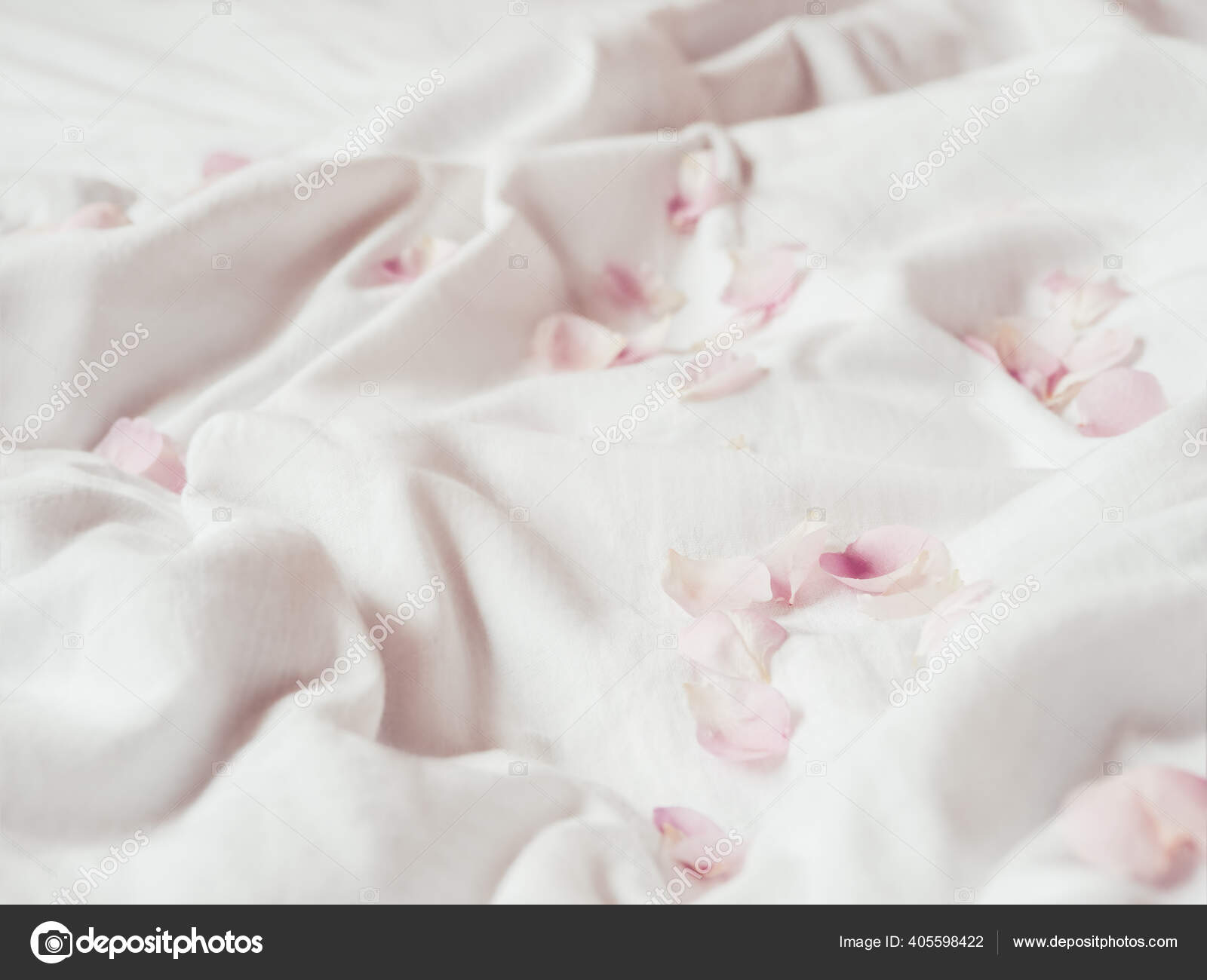 Royalty-Free photo: Pink rose petals