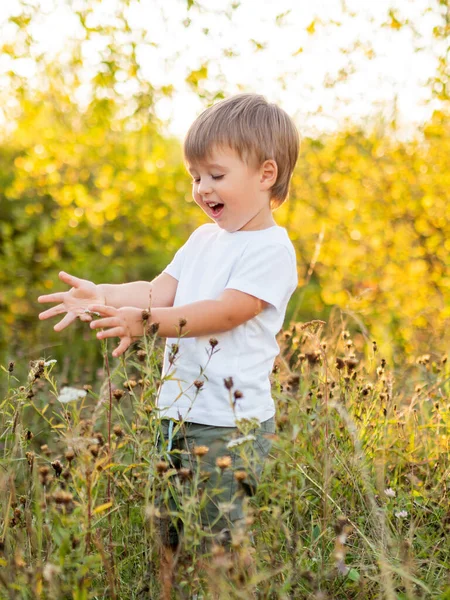 Netter Kleiner Junge Spielt Auf Dem Feld Freizeitaktivitäten Freien Für — Stockfoto