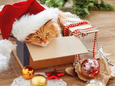 Şirin kızıl kedi, Noel ve yeni yıl süsleriyle birlikte tahta arka planda kutuda yatıyor. Kırmızı Noel Baba şapkalı tüylü hayvan. Kış tatili hazırlıkları sırasında tüylü evcil hayvan.
