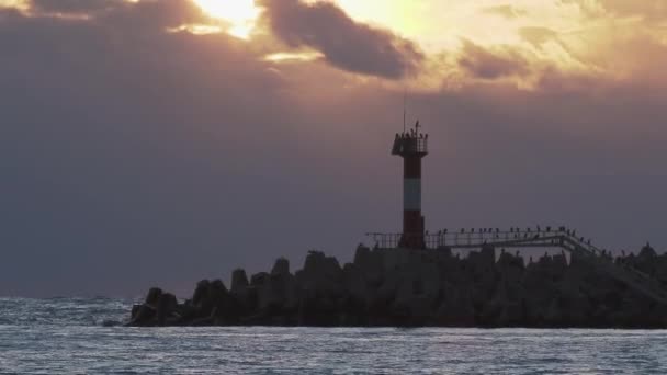 Martılar ve karabataklar dalgakıranların üzerinde otururlar. Muhteşem günbatımı arka planında deniz feneri. Soçi Limanı, Rusya. — Stok video