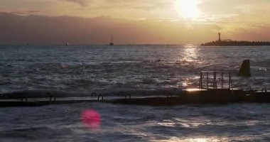 Martılar ve karabataklar dalgakıranların üzerinde otururlar. Muhteşem günbatımı arka planında deniz feneri. Soçi Limanı, Rusya.