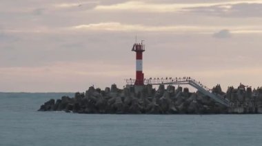 Martılar ve karabataklar dalgakıranların üzerinde otururlar. Muhteşem günbatımı arka planında deniz feneri. Soçi Limanı, Rusya.