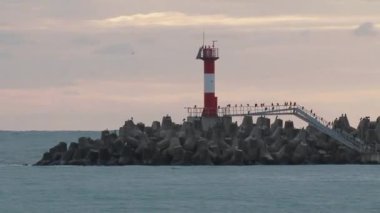 Martılar ve karabataklar dalgakıranların üzerinde otururlar. Muhteşem günbatımı arka planında deniz feneri. Soçi Limanı, Rusya.