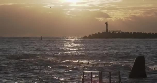 海鳥や鵜が防波堤に座っている。豪華な日没の背景に灯台。ソチの港、ロシア. — ストック動画