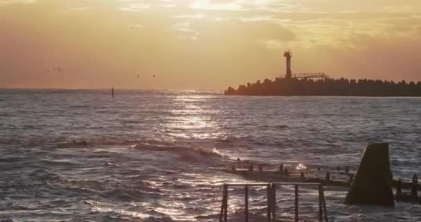 Gaivotas e corvos-marinhos sentam-se no quebra-mar. Farol no lindo pôr do sol fundo. Porto de Sochi, Rússia. — Vídeo de Stock