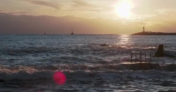 Gaivotas e corvos-marinhos sentam-se no quebra-mar. Farol no lindo pôr do sol fundo. Porto de Sochi, Rússia. — Vídeo de Stock