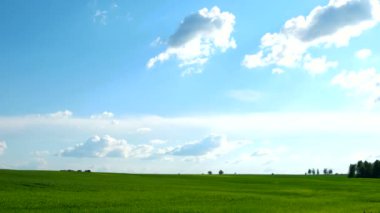 Kırsal doğal altyapı. Buğday tohumlu tarla. Bahar güneşli bir günde bulutlu bir hava. Rusya.