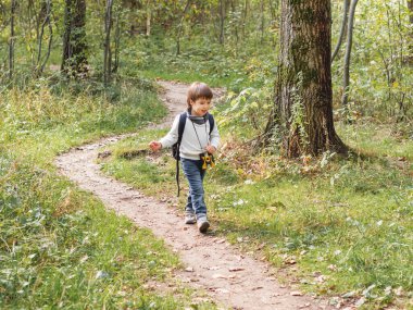Meraklı çocuk güneş ışığıyla aydınlatılmış ormanda yürüyüş yapıyor. Çocuklar için açık hava aktivitesi. Dürbünlü ve sırt çantalı çocuk.