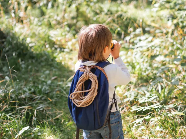 Любопытный Мальчик Гуляет Лесу Активный Отдых Свежем Воздухе Детей Ребенок — стоковое фото