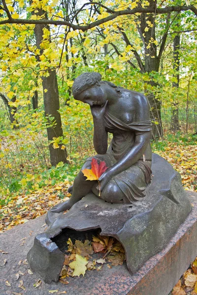 Sukhanovo, Moscow region, Rusya Federasyonu - 06 Ekim 2009: 