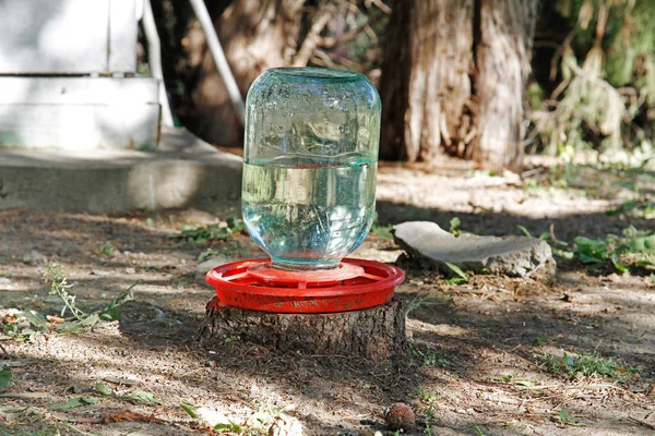 Beber Tigela Para Animais Selvagens Feitos Frasco Vidro Prato Plástico — Fotografia de Stock