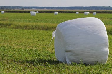 Beyaz plastik ambalaj alanında Haystack paketlenmiş