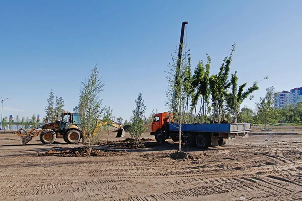 Wolgograd Rusland Juni 2018 Boom Zaailingen Een Vrachtwagen Klaar Planten — Stockfoto
