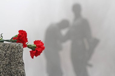 Volgograd, Rusya Federasyonu - 03 Şubat 2013: Granit kaldırım taşı döşeli Komsomol uyeleri icin sadece Volgograd Anıtı arka plan üzerinde kırmızı karanfiller yalan. Stalingrad Savaşı Zafer Bayramı kutlama adanmış olay.