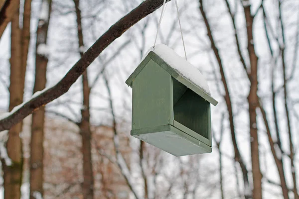 Empty Wooden Bird Feeder Hanging Tree Winter Park — Stock Photo, Image