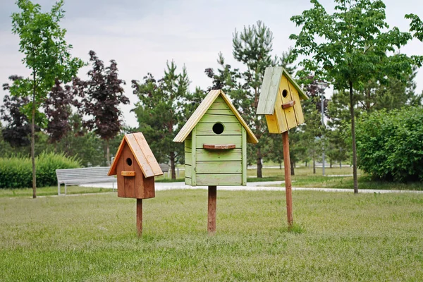 Barna Zöld Sárga Birdhouses Állva Zöld Park — Stock Fotó