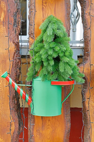 Artificial Coniferous Tree Red Green Watering Can Hanging Wooden Fence — Stock Photo, Image