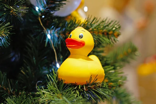 Moscow Russia December 2019 Christmas Toy Rubber Duck Hanging Christmas — Stock Photo, Image