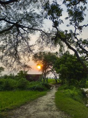 Kırsal Yeşillikte Güneşe Batmış Yol