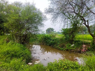 Çevre kirliliğiyle gölgelenmiş Doğa Güzelliği