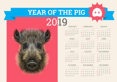 2019 için şık domuz takvim. Vektör düzenlenebilir bir şablona konsepti ile. Çince takvim yılında sembolü. Yaban domuzu gerçekçi vektör çizim.