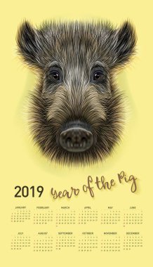 Domuz takvim 2019 için. Vektör düzenlenebilir bir şablona konsepti ile. Çince takvim yılında sembolü. Yaban domuzu gerçekçi vektör çizim.