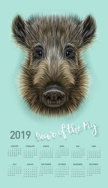 Domuz takvim 2019 için. Vektör düzenlenebilir bir şablona konsepti ile. Çince takvim yılında sembolü. Yaban domuzu gerçekçi vektör çizim.