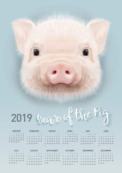 Pig Calendar 2019 Vector Editable Template Concept Symbol Year Chinese — Stock Vector