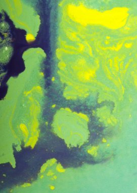 suluboya akışı amorf, soyut boyama yeşil, sarı
