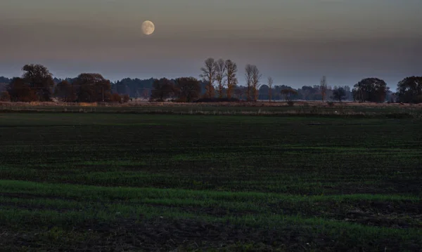 Twilight falling over fields — Stock Photo, Image