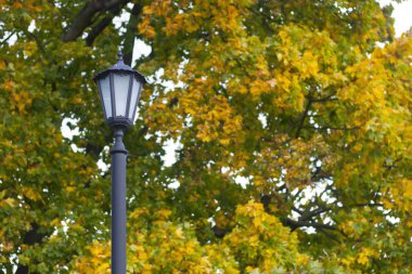 Sonbaharda eski tarz fener.